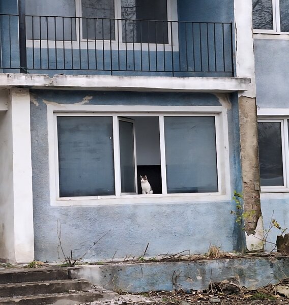 Petrosani, Jud. Hunedoara, Strada Independentei.